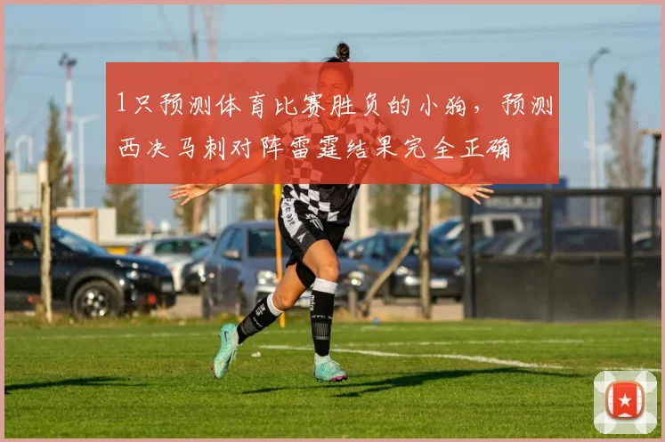 1只预测体育比赛胜负的小狗,预测西决马刺对阵雷霆结果完全正确
