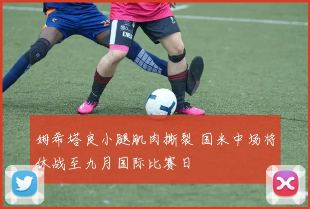 姆希塔良小腿肌肉撕裂 国米中场将休战至九月国际比赛日